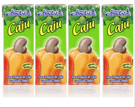 Suco pronto de cajú Jandaia 200ml  (pacote c/ 4 unid.)