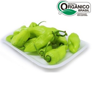 Pimenta de cheiro orgânica 100g Pimenta de cheiro orgânica 100g