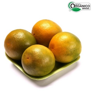 Laranja pera orgânica 1kg